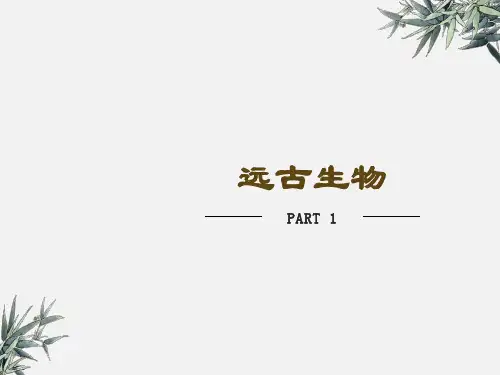 远古生物PPT课件 恐龙