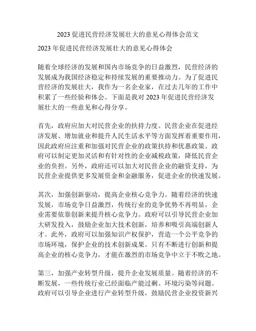 2023促进民营经济发展壮大的意见心得体会范文