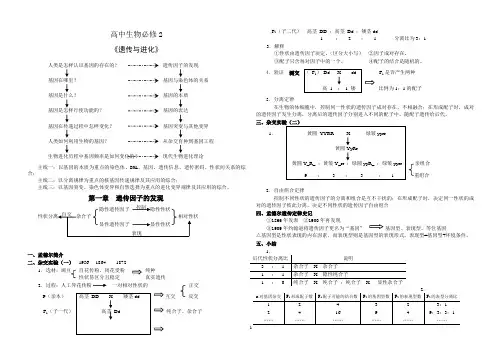 高中生物必修2全册知识点小结.doc