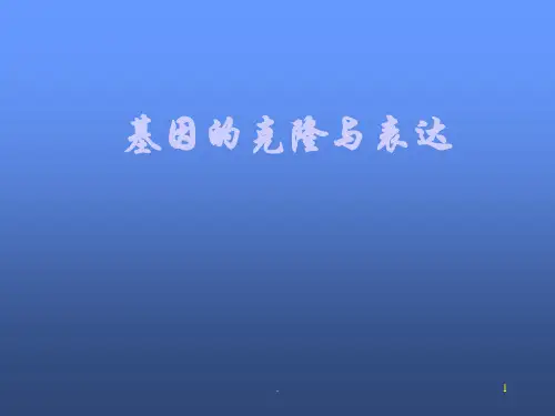 基因的克隆与表达PPT课件