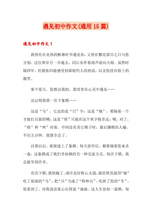 遇见初中作文(通用15篇)