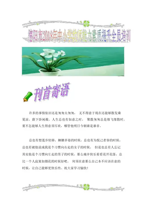 中小学教师远程研修全员培训简报