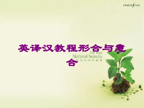 英译汉教程形合与意合课件