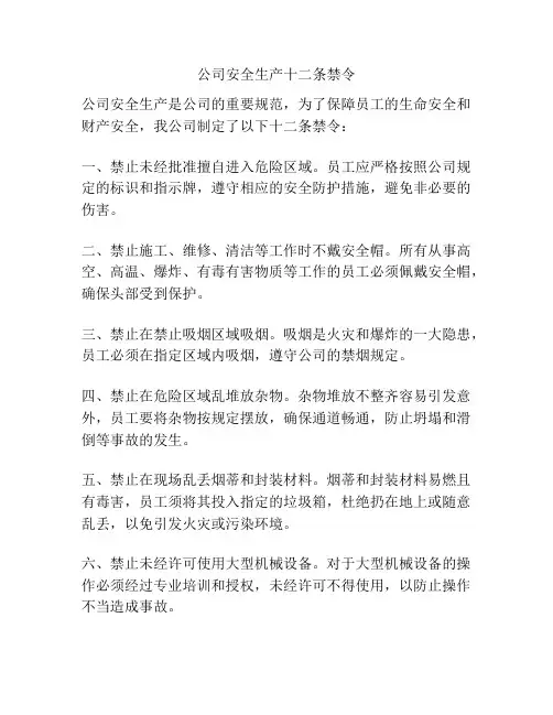 公司安全生产十二条禁令