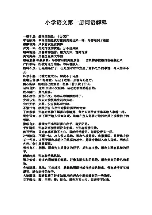 小学语文第十册词语解释