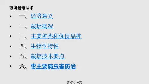 枣树栽培技术PPT课件