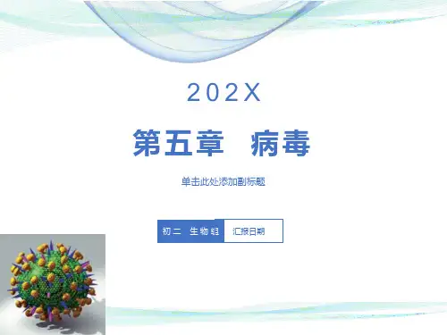 初二生物病毒优质课件