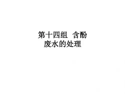 第十四组  含酚废水的处理ppt课件