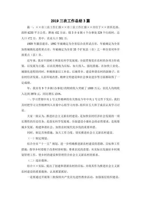 工作总结-2019三农工作总结3篇 精品