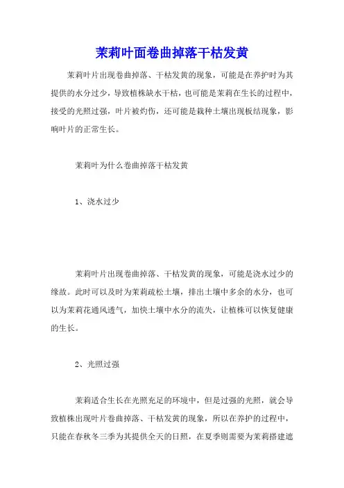 茉莉叶面卷曲掉落干枯发黄