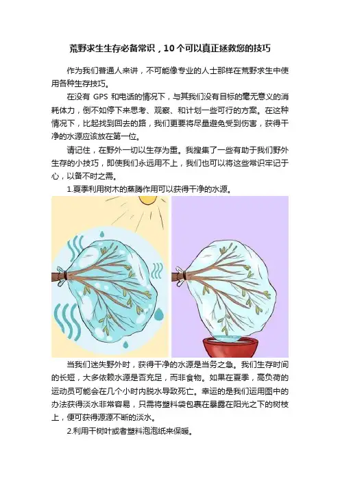 荒野求生生存必备常识，10个可以真正拯救您的技巧