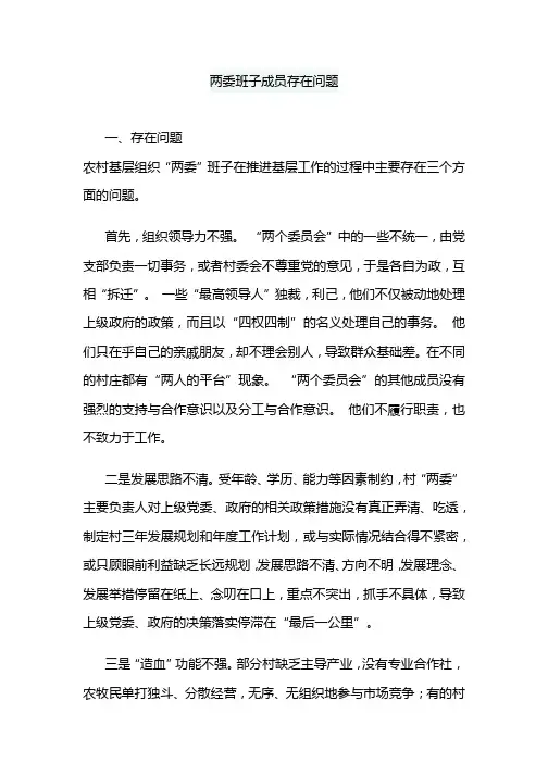 两委班子成员存在问题