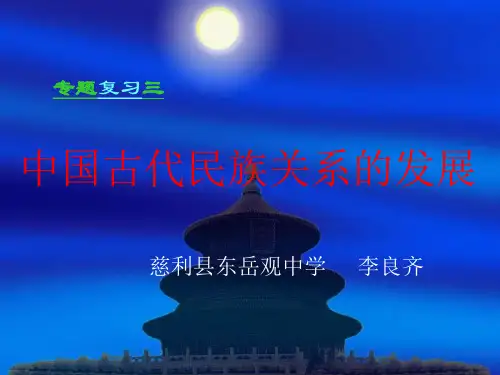 中国古代民族关系的发展专题