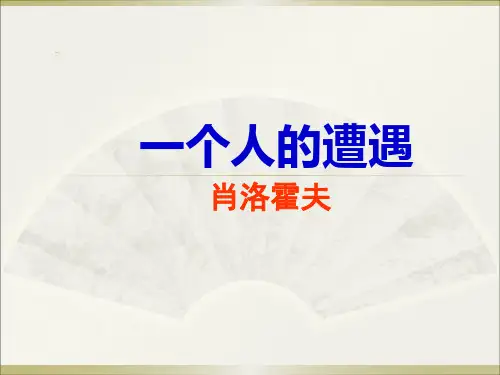 《一个人的遭遇》优秀课件