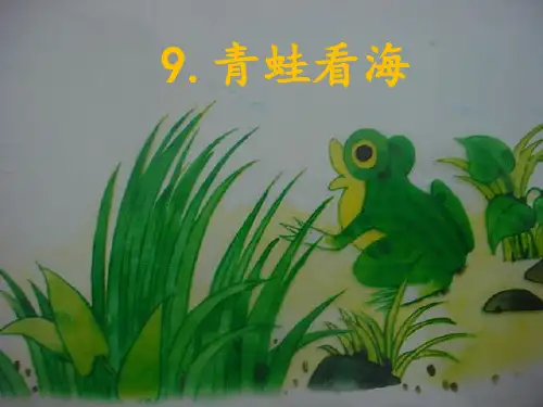 青蛙看海.pptx