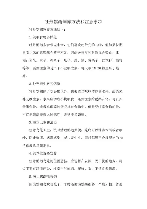 牡丹鹦鹉饲养方法和注意事项