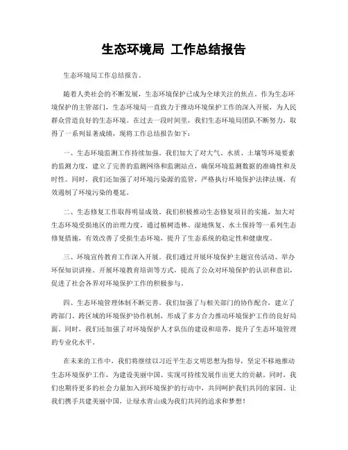 生态环境局 工作总结报告
