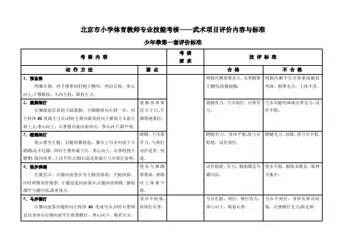 武术考核标准【范本模板】