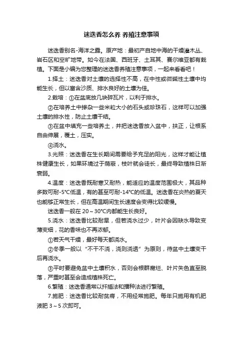 迷迭香怎么养养殖注意事项