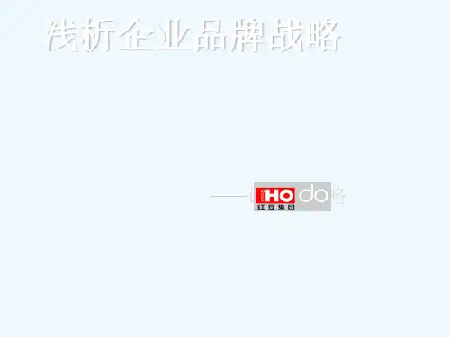 红豆浅析企业品牌战略