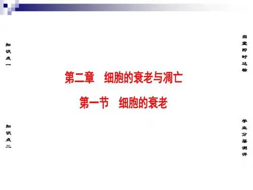 中图版必修一 第4单元 第2章 第1节 细胞的衰老 课件(23张)