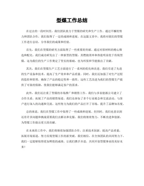 型煤工作总结