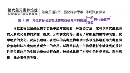 一轮复习人教版同位素标记法在遗传物质研究中的应用课件