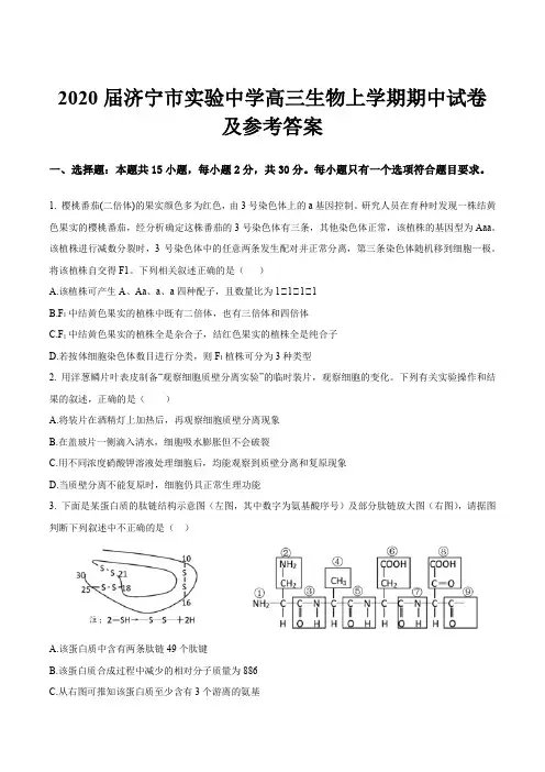 2020届济宁市实验中学高三生物上学期期中试卷及参考答案