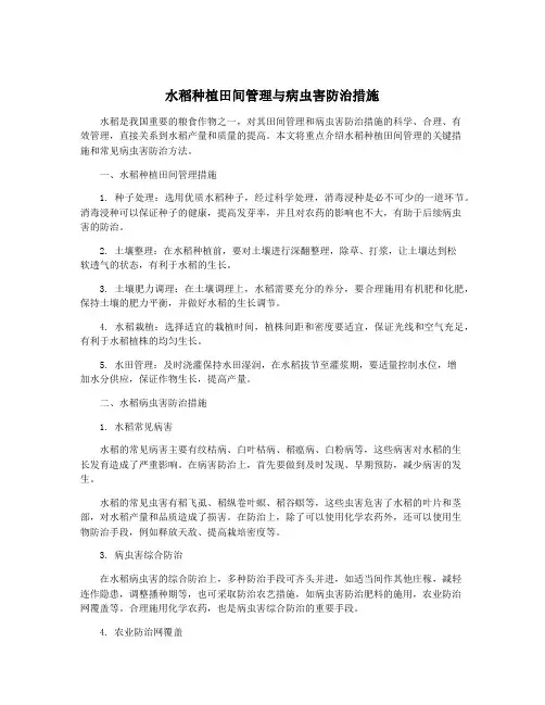 水稻种植田间管理与病虫害防治措施