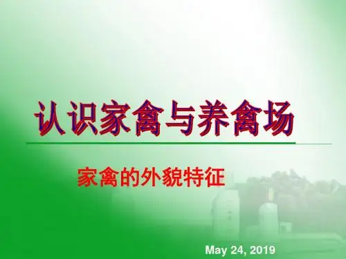 家禽外貌的识别