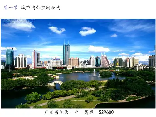 《城市的内部空间结构》课件图文