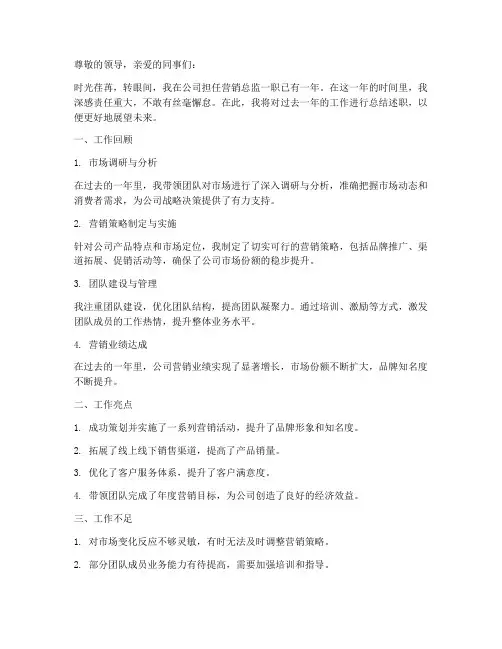 营销总监总结述职范文