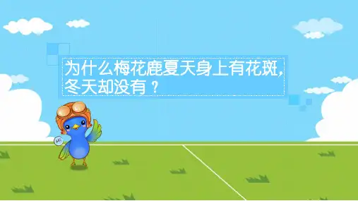 为什么梅花鹿夏天身上有花斑,冬天却没有