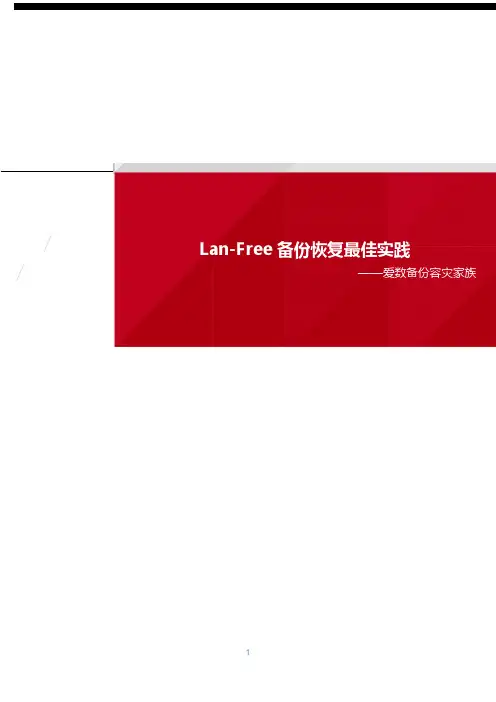 AnyBackup Lan-Free备份与恢复最佳实践手册