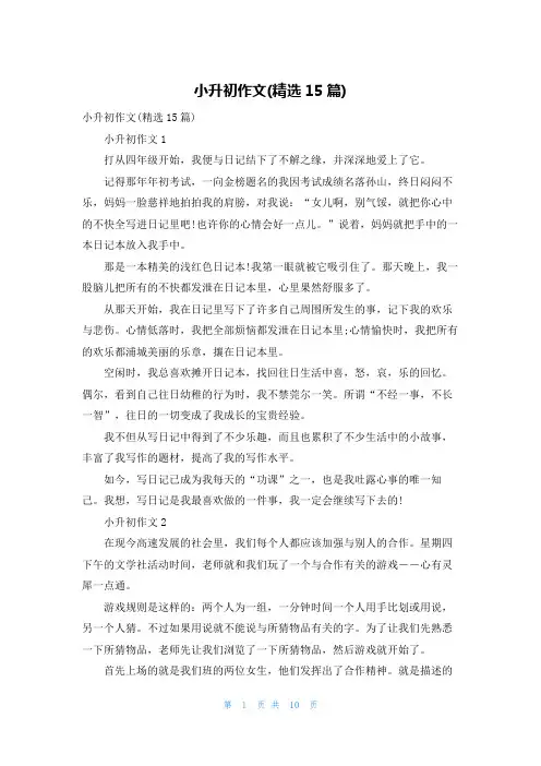 小升初作文(精选15篇)
