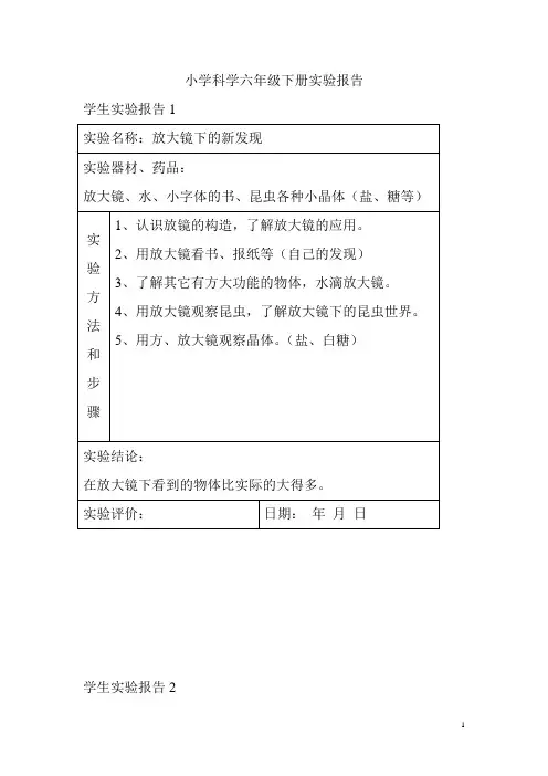 六年级下册实验报告