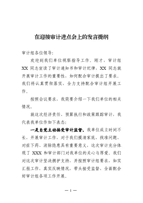 在迎接审计巡视进点会上的表态发言提纲