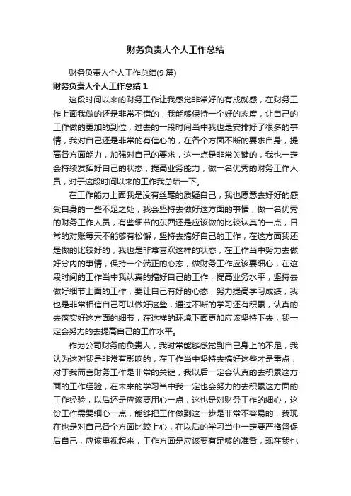 财务负责人个人工作总结