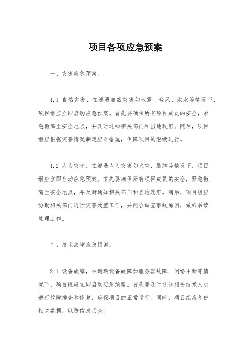 项目各项应急预案