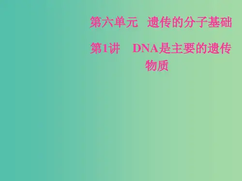 高考生物总复习第六单元遗传的分子基础第1讲DNA是主要的遗传物质