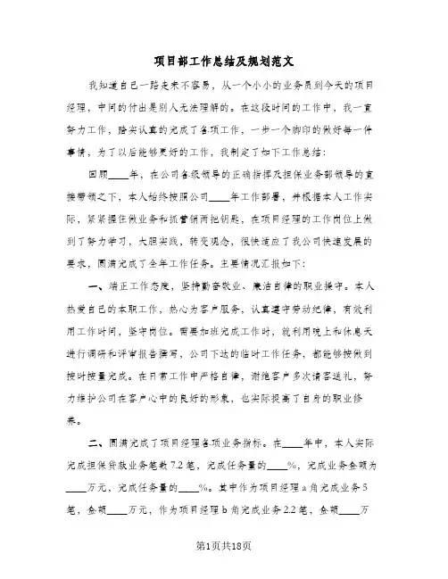 项目部工作总结及规划范文(5篇)
