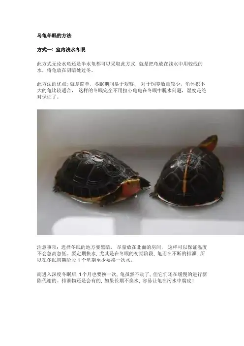 乌龟冬眠的方法