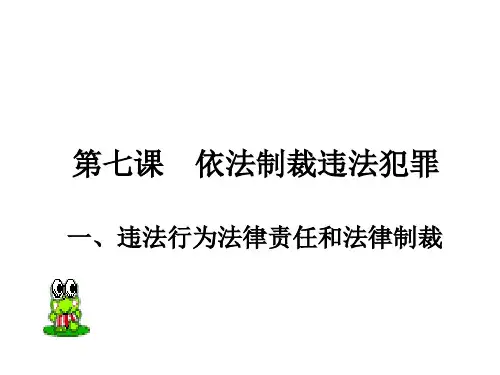 违法行为法律责任和法律制裁