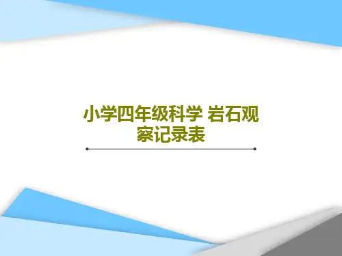 小学四年级科学 岩石观察记录表共24页