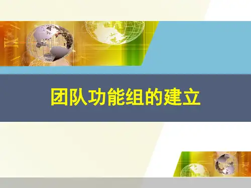 团队功能组的建立及案例 