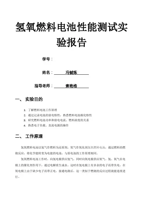 氢氧燃料电池性能测试实验报告