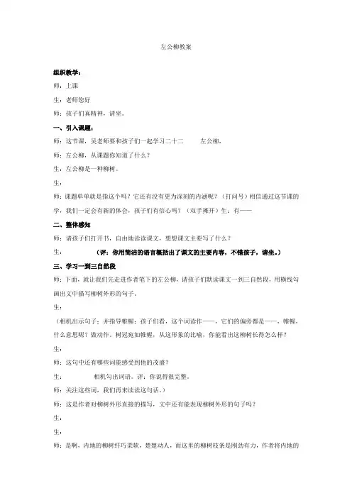 左公柳教案