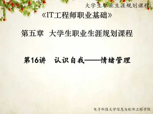 认识自我—情绪管理(PPT 50页)