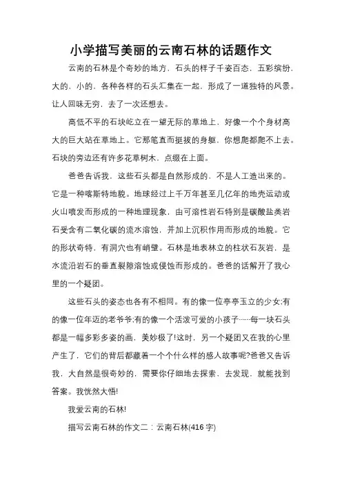 小学描写美丽的云南石林的话题作文