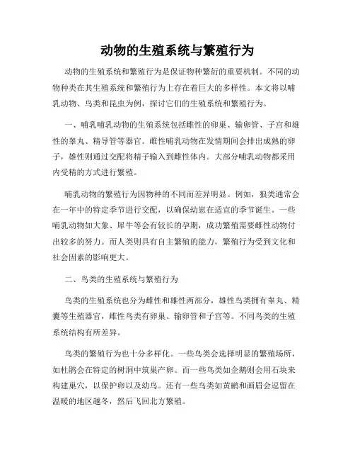 动物的生殖系统与繁殖行为